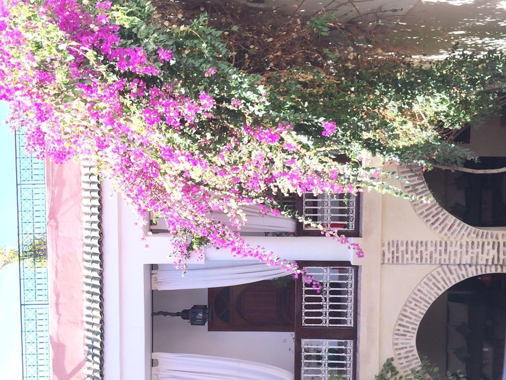 מרקש Riad Dar Palmyra מראה חיצוני תמונה