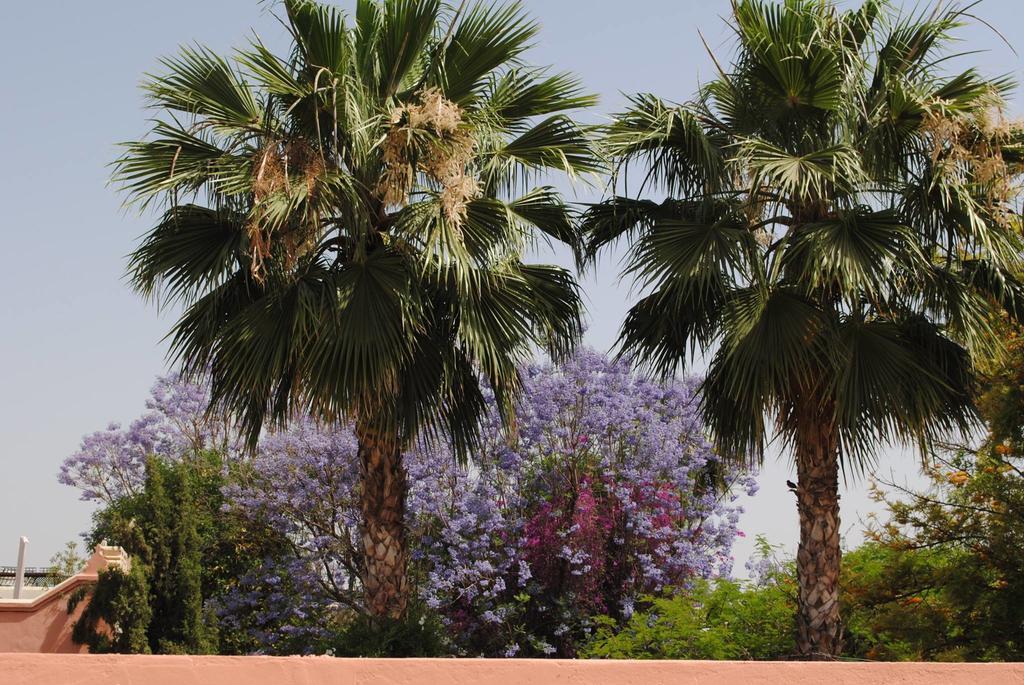 מרקש Riad Dar Palmyra מראה חיצוני תמונה